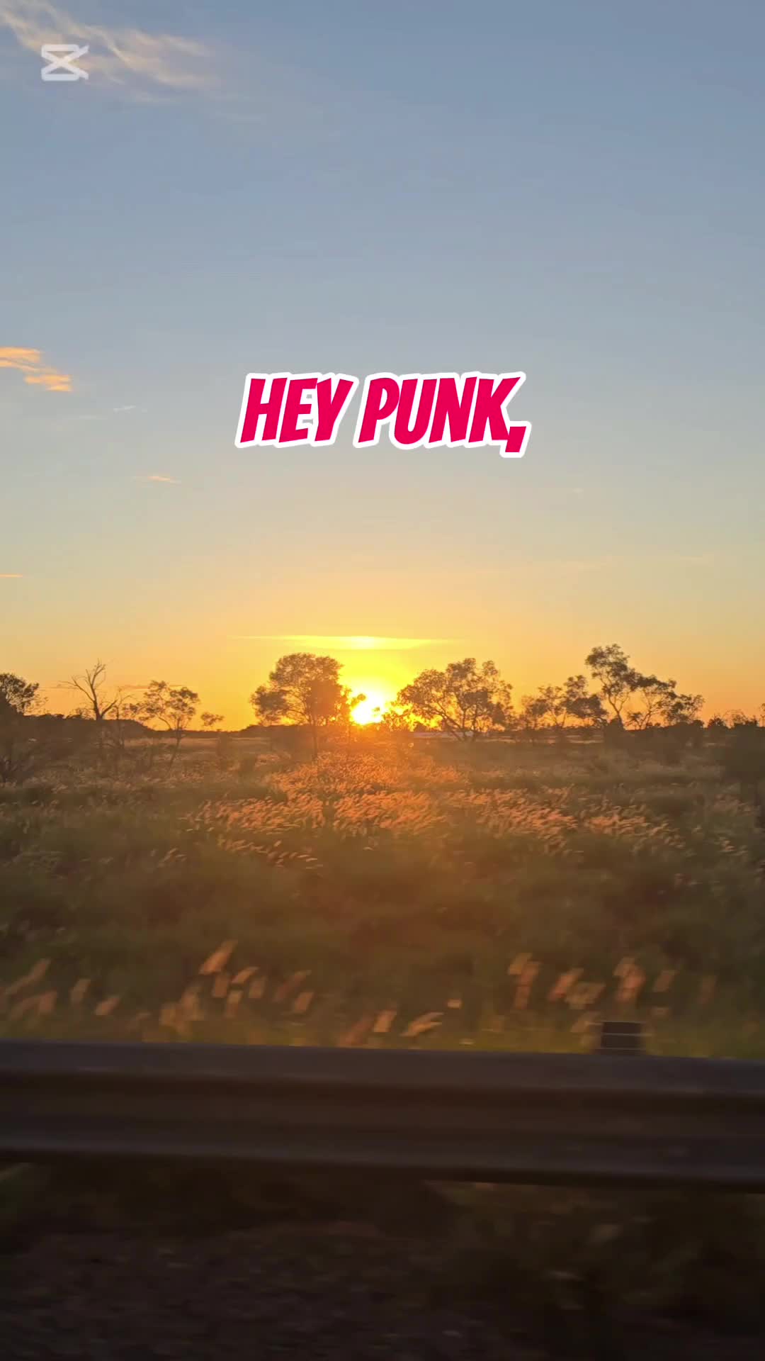 @📣Red Punk Social🤘