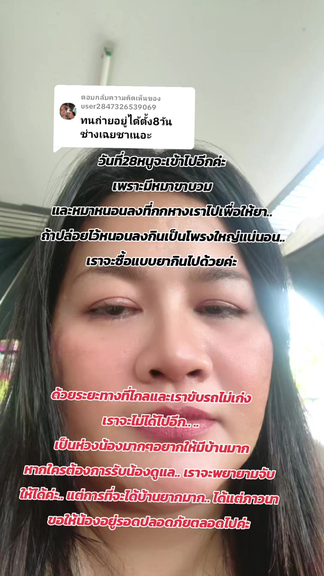 @Phim 1415
