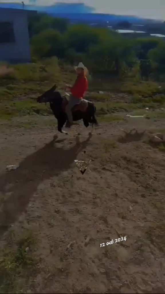 @Viejito Cordova✝️🍀❤️🐎🦅