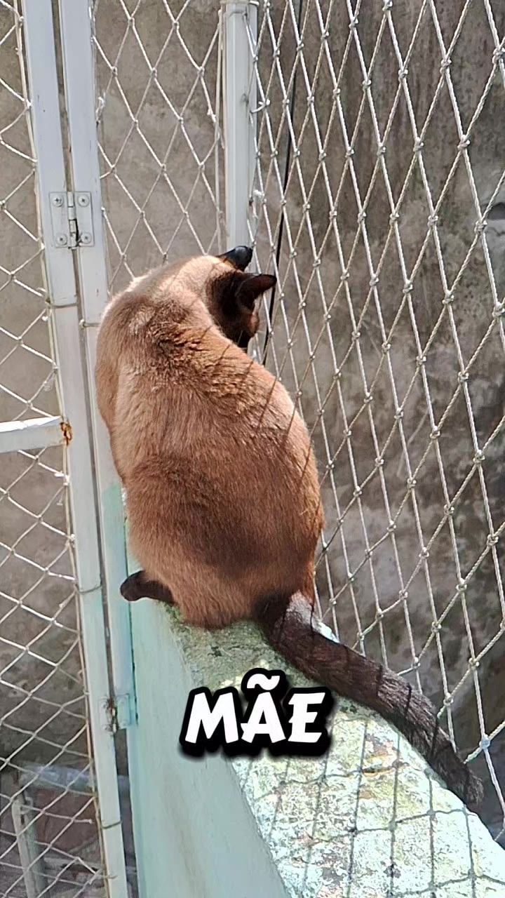 @lua