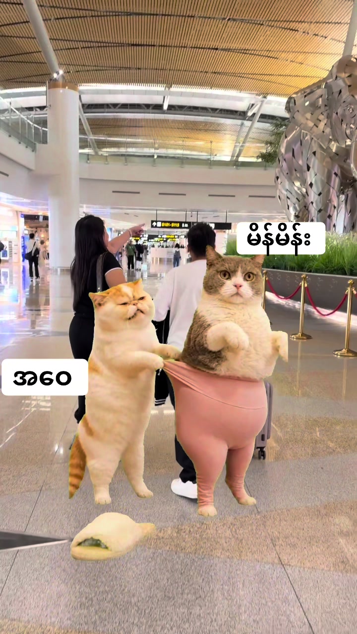 @A Wai ♥️ Mei