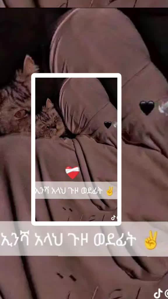 @user9843518045848Zinet mohemme