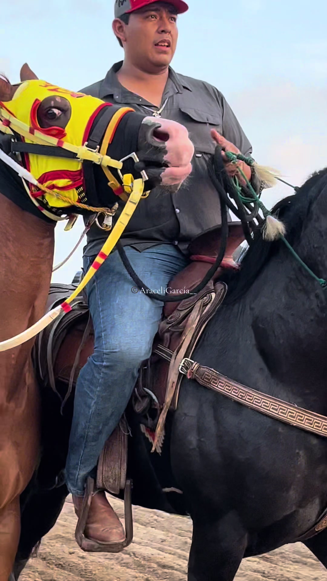 @Araceli García 🏇