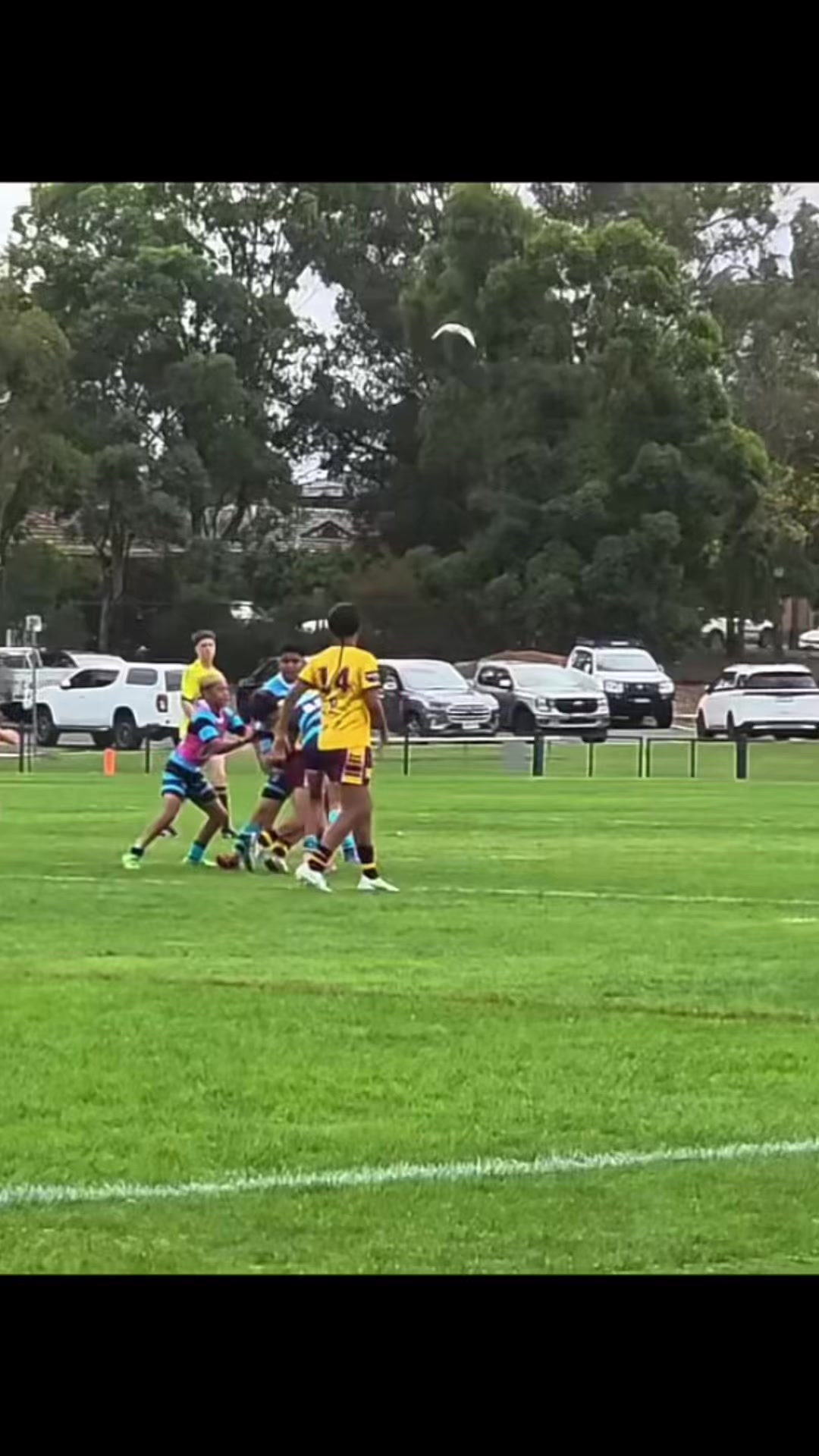 @Cabramatta u12 2k26