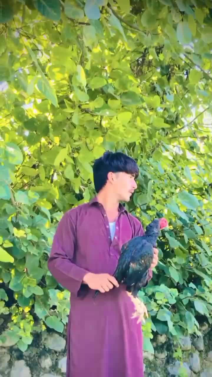 @𝙎𝙮𝘾𝙤𝙊 𝙈𝙚𝙃𝙧𝙊𝙤💀