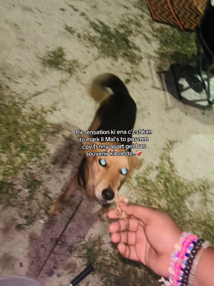 @𝙑 𝙀 𝙀 𝙉 𝘼 