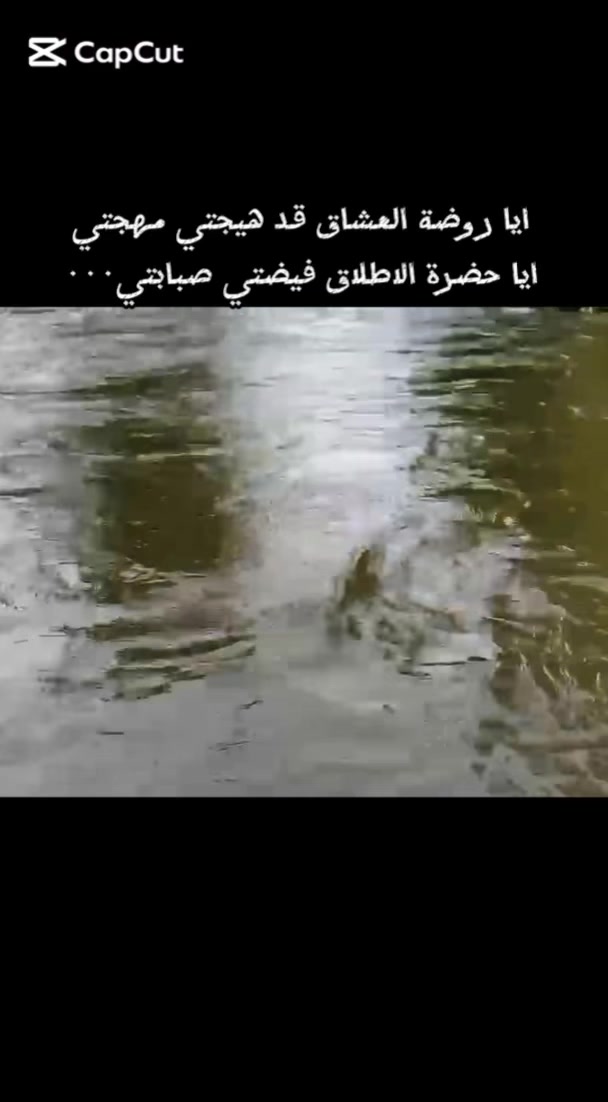 @Ahmed Hameidi