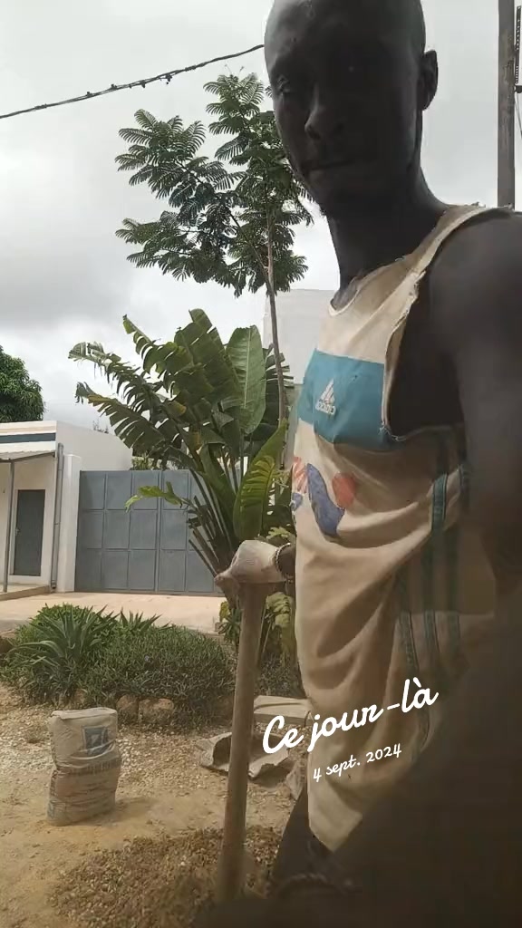 @falloumbacke936