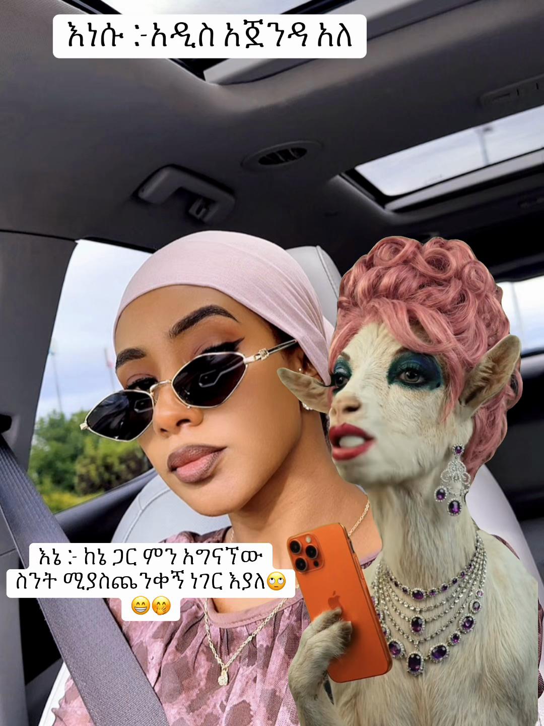 @🐝Hali_bee🐝🤱