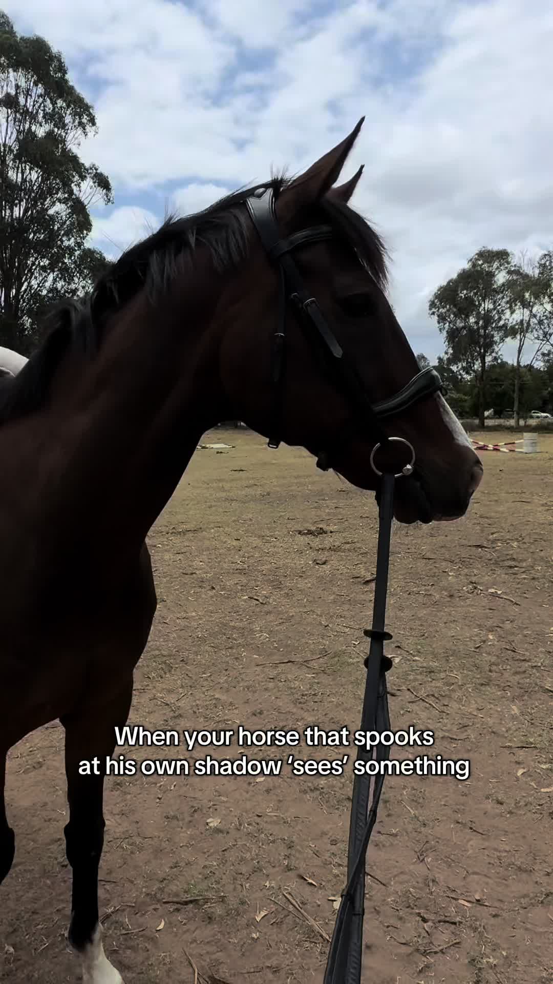 @Em✨