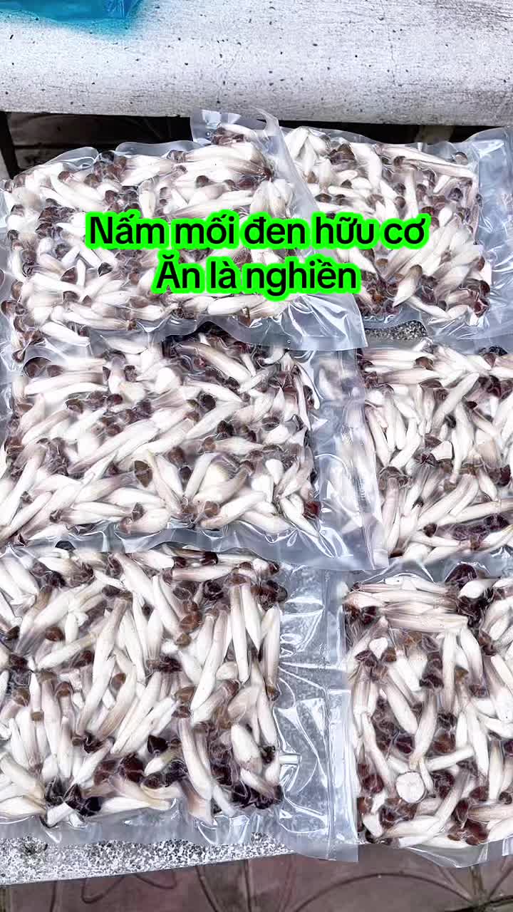 @nguyentuyet_79