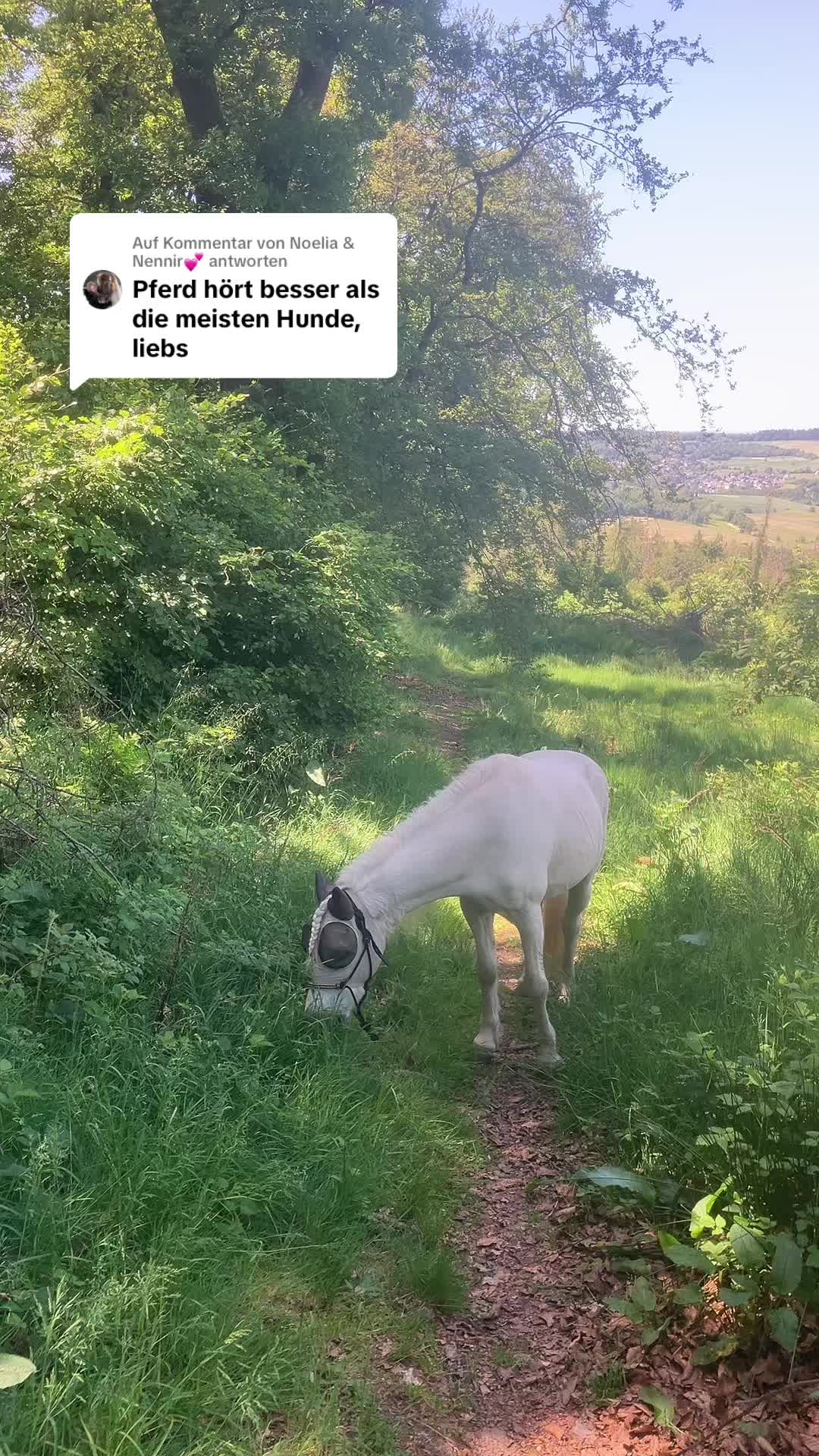 @Good Way Horses