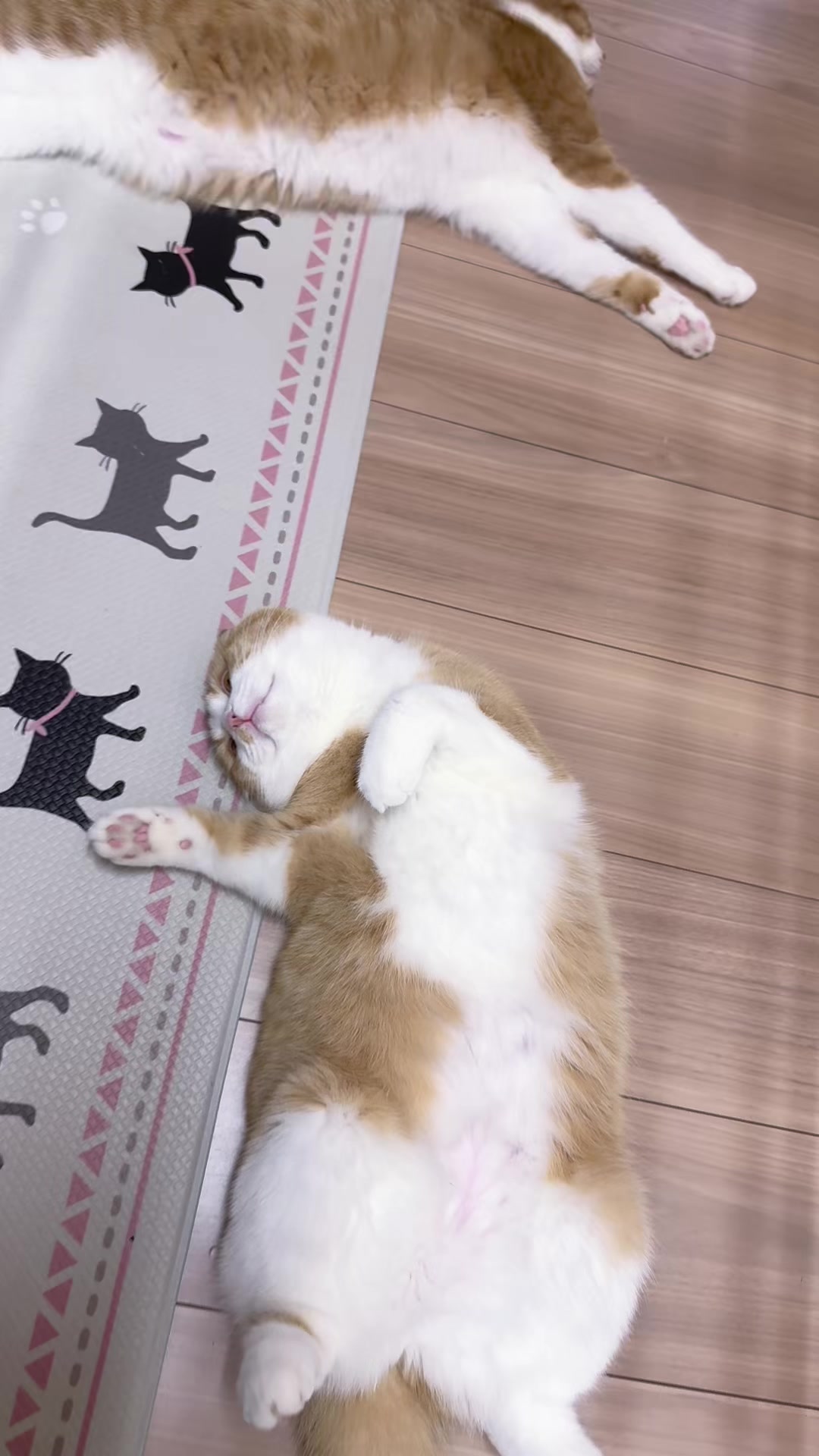 @マロン