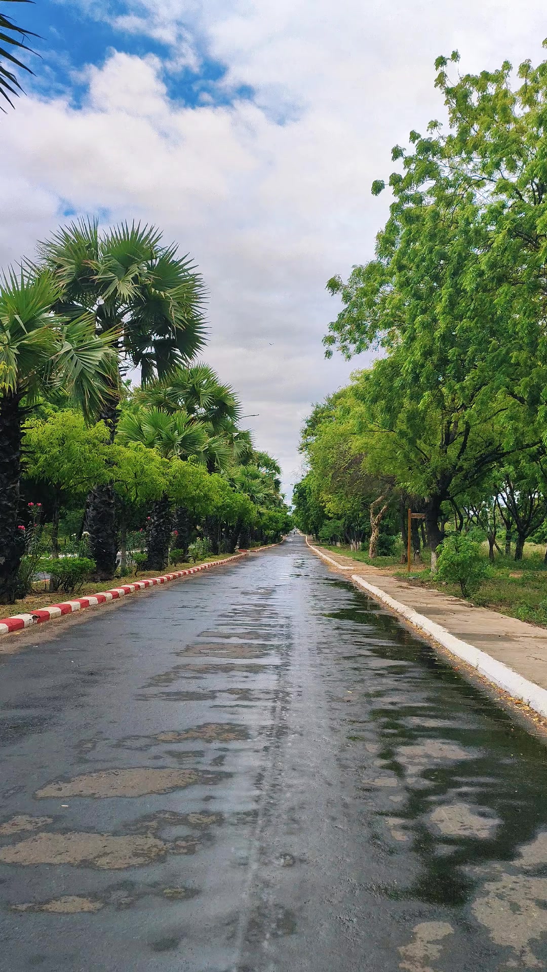 @Bagan Kyaw Zin Thant