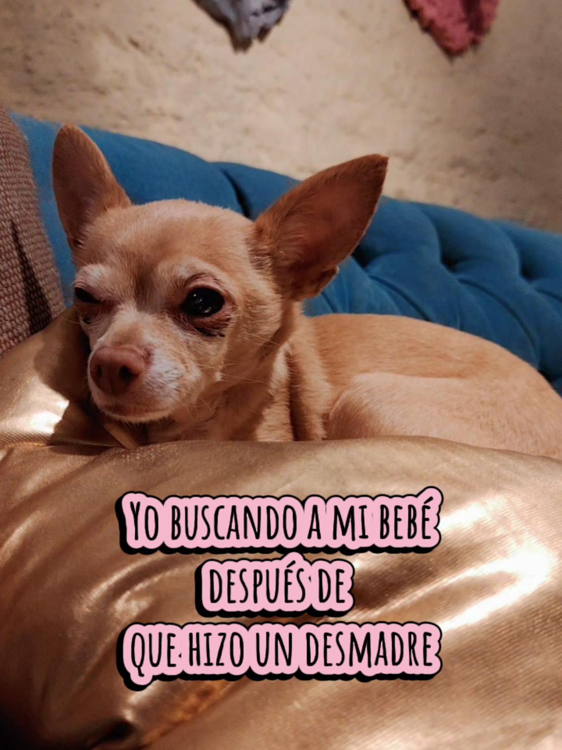 @Pawo Vigue