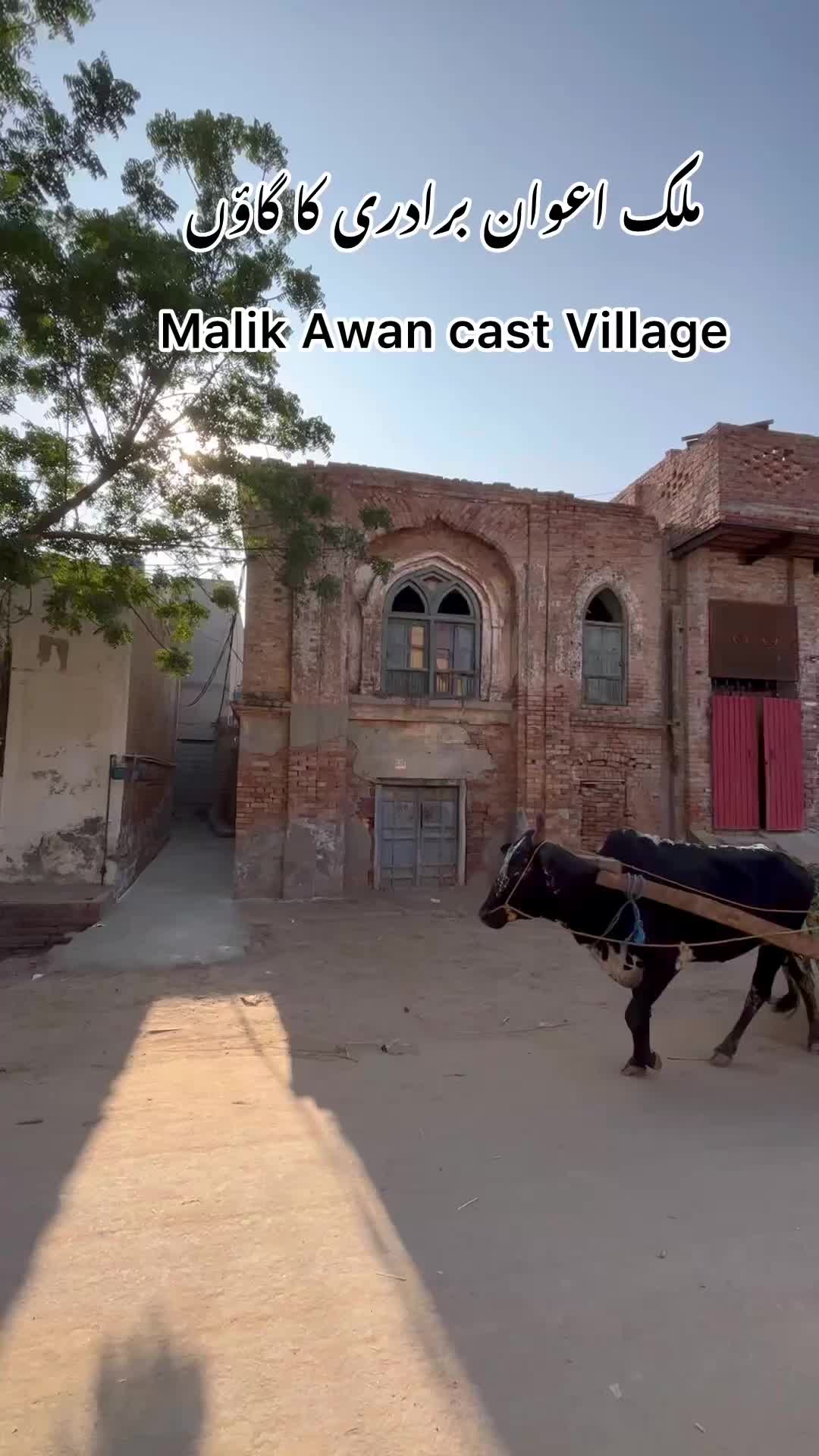 @Zain janjua