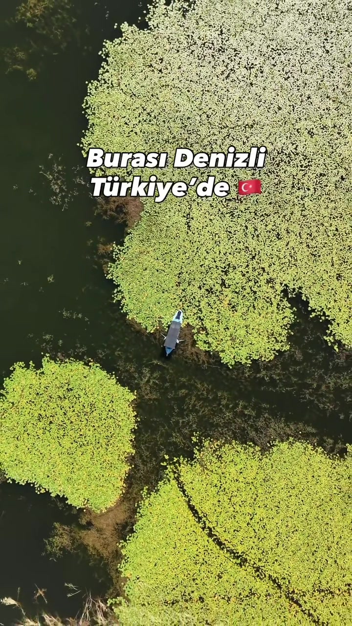 @Mehmet Çoban