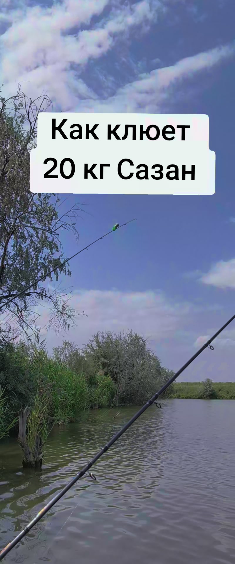 @Женис Джекетаев