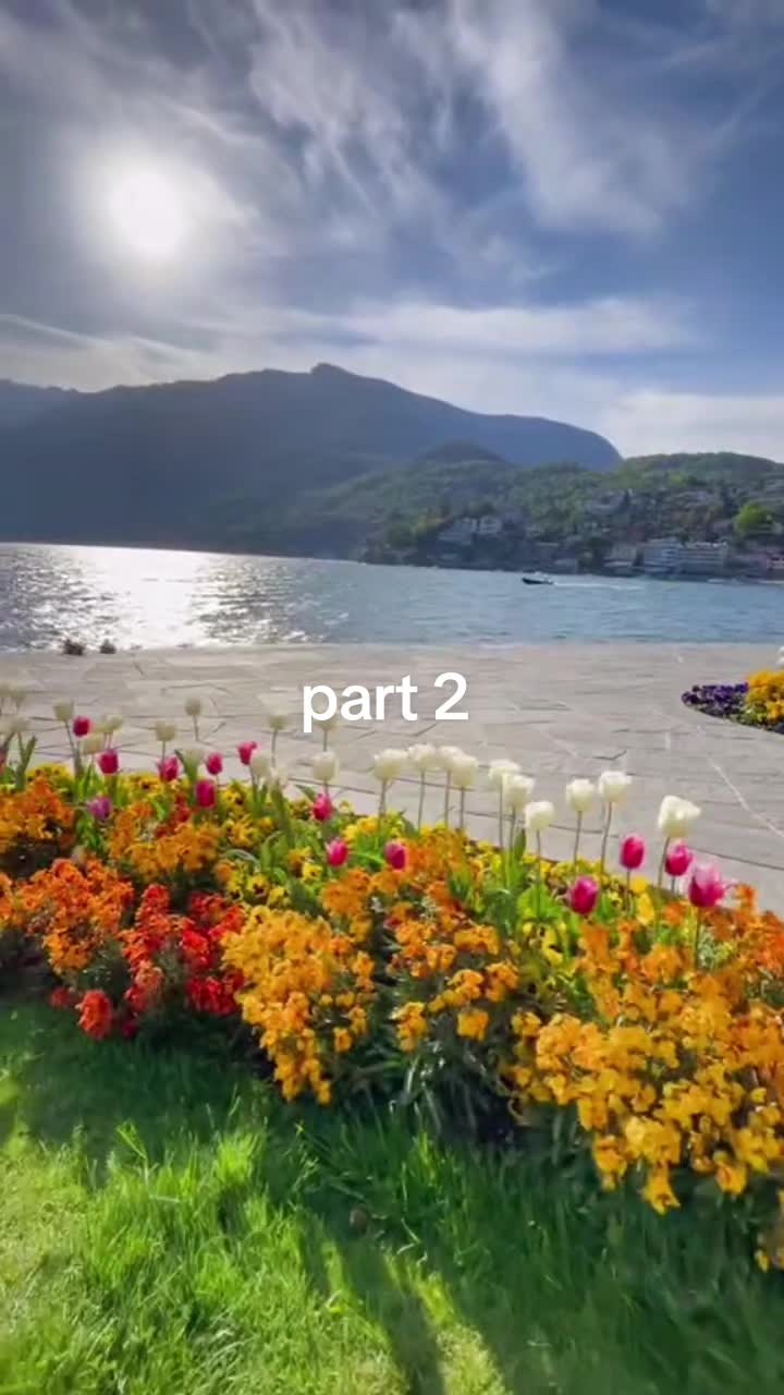 @Sonia Libas