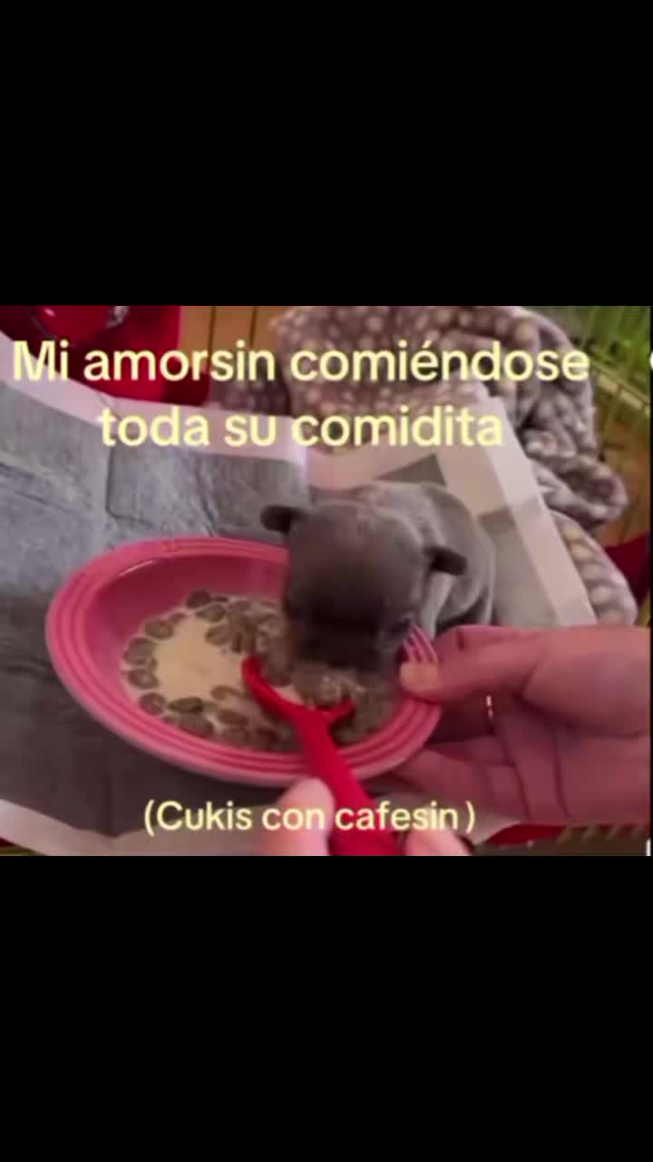 @dinosaurr_deminovio