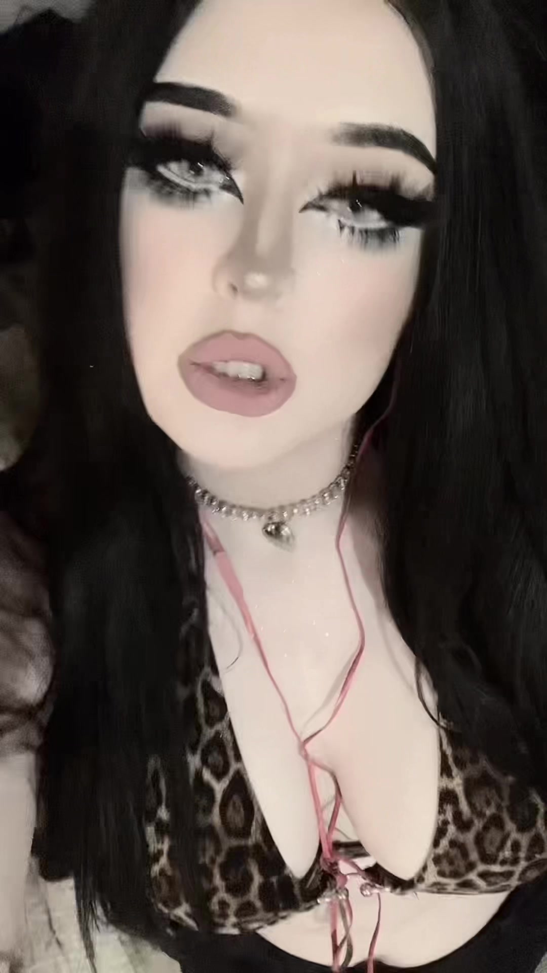 @cutiepaws.33