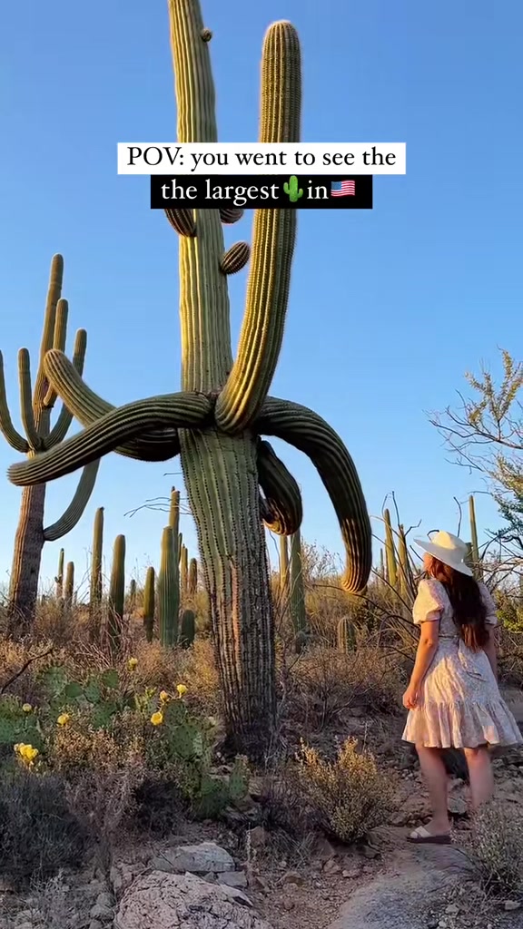 @nickxjulie
