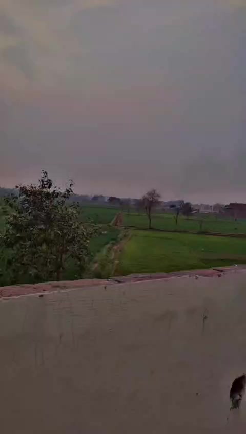 @Malik salman