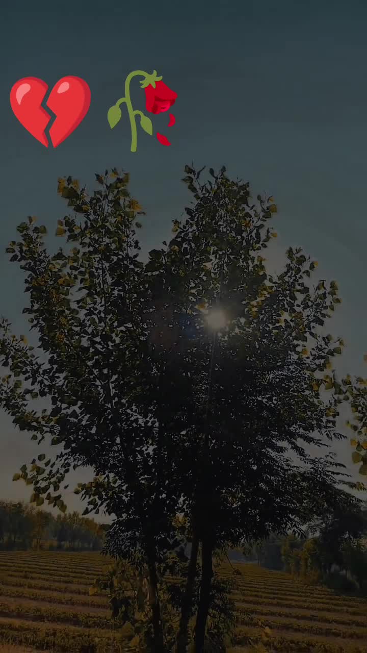 @Muhsin___888
