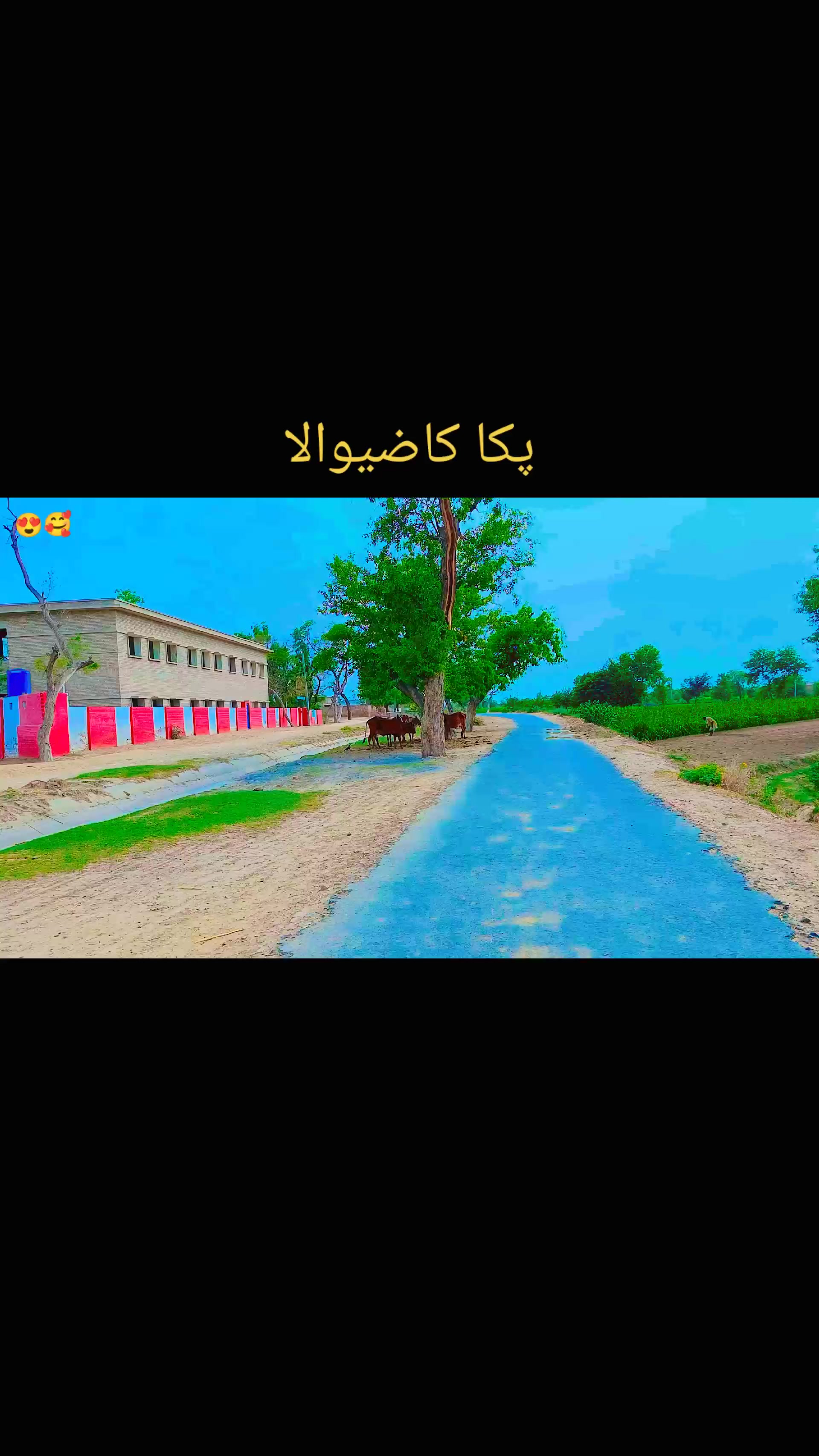 @M Umar❤️✨