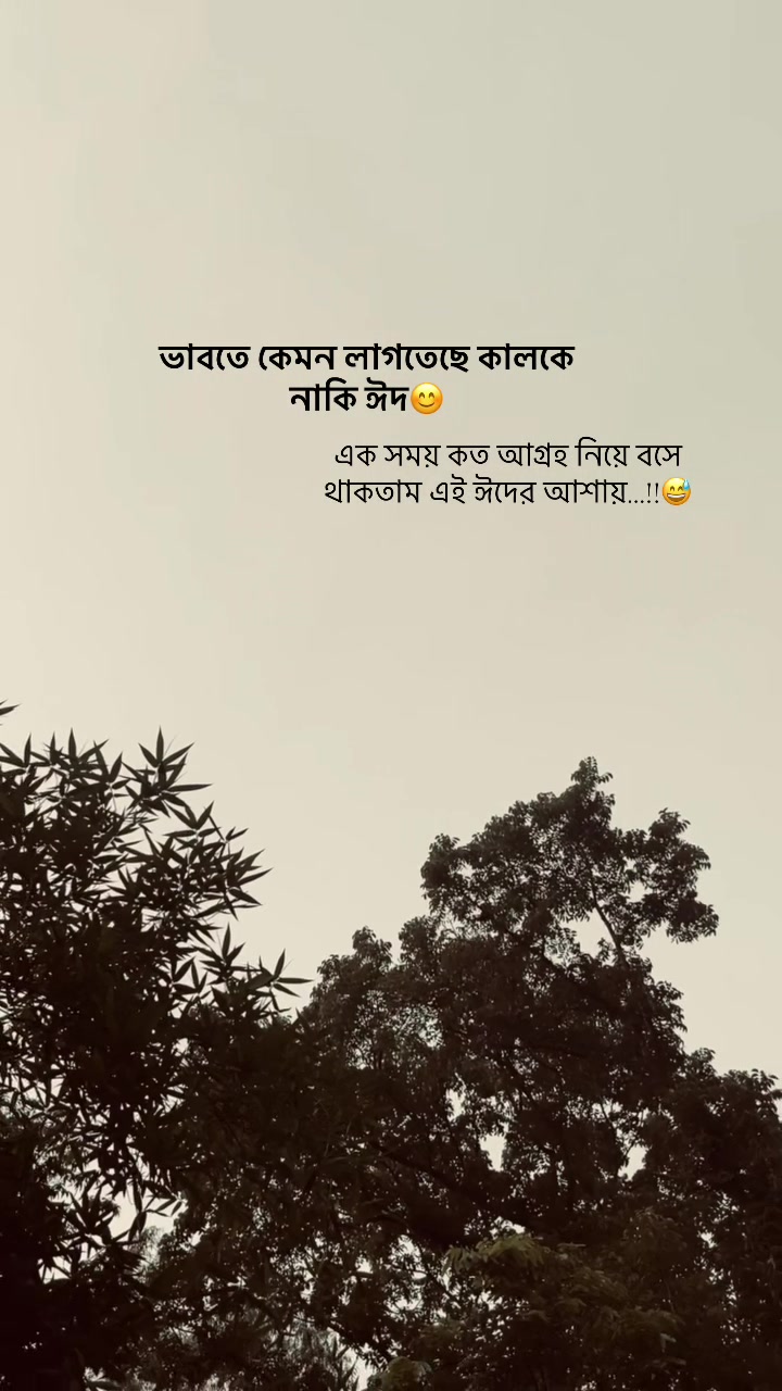 @ᴢꫝʜɪᴅ ••••••