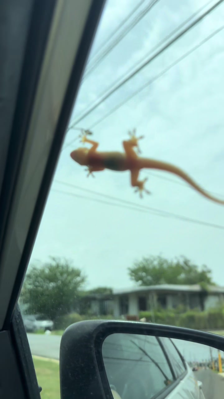 @Nelly | Boy Mom 🧑🧒🦕