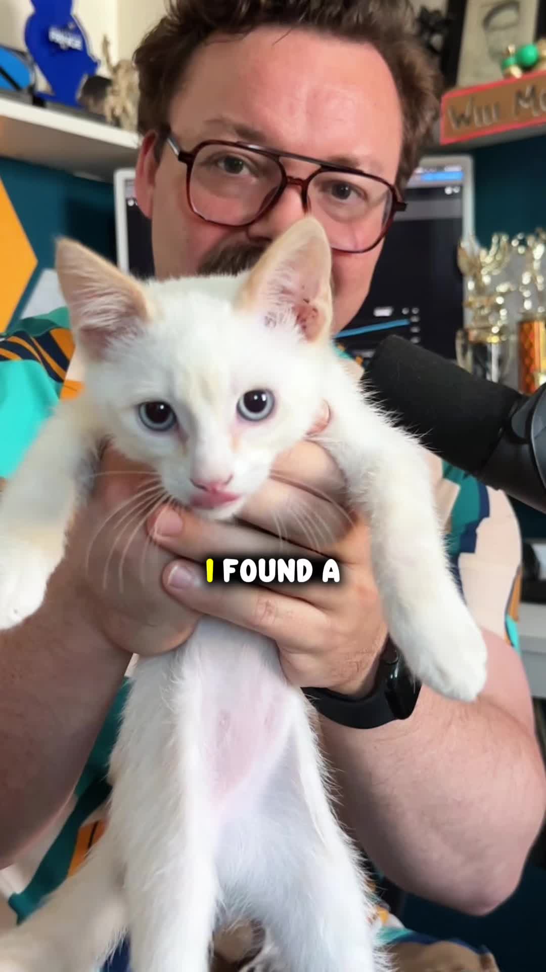 @Rufus Goodboy