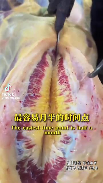 @Jillene 吉琳🌷🌷🌷