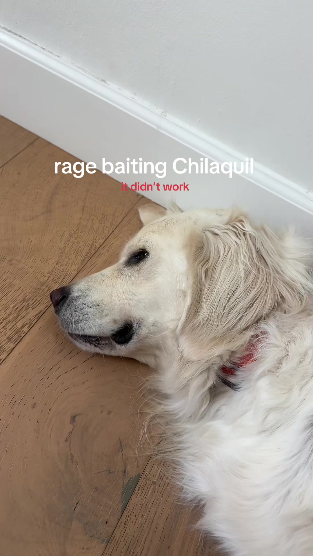 @Chilaquil