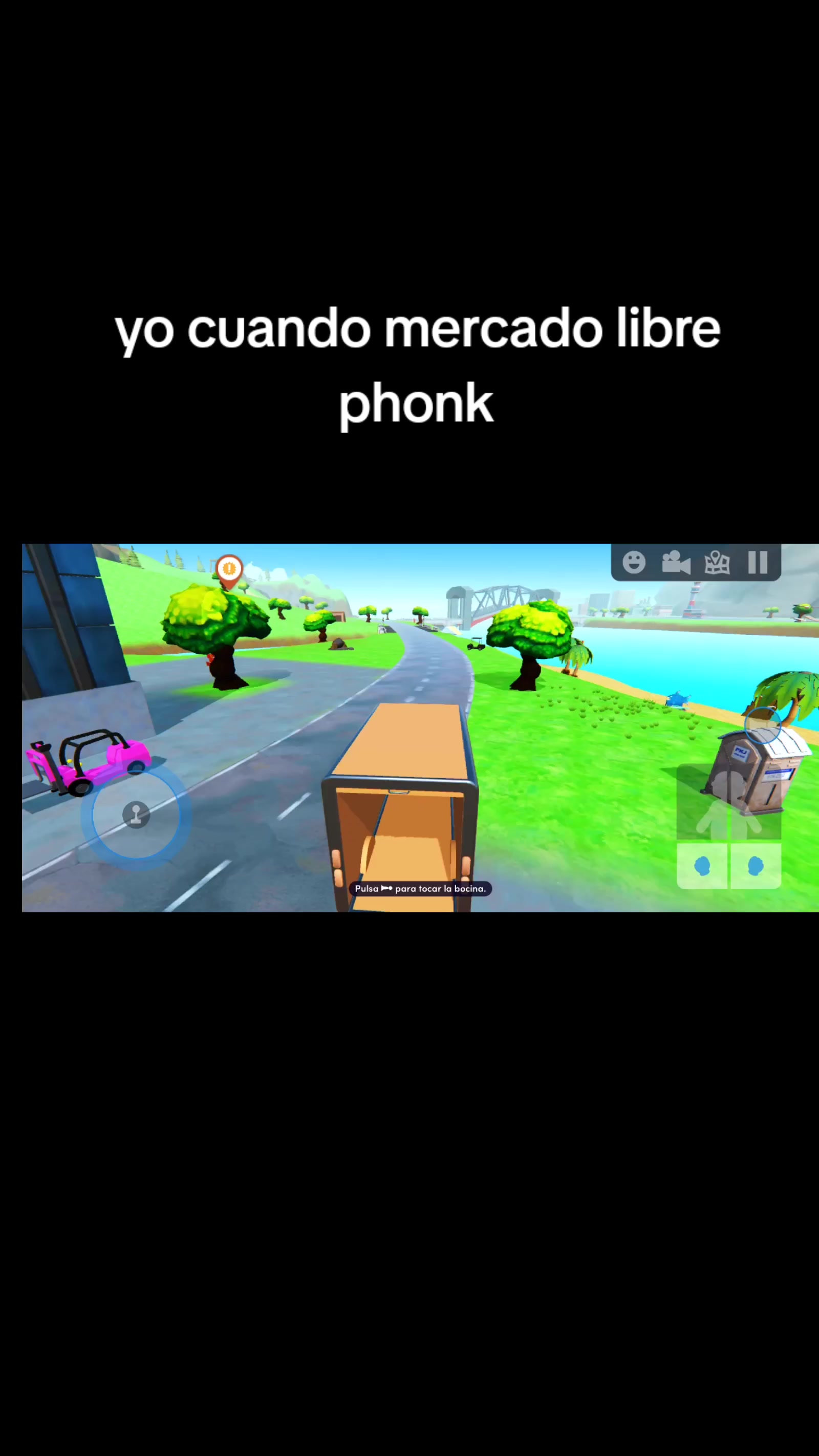 @México bird
