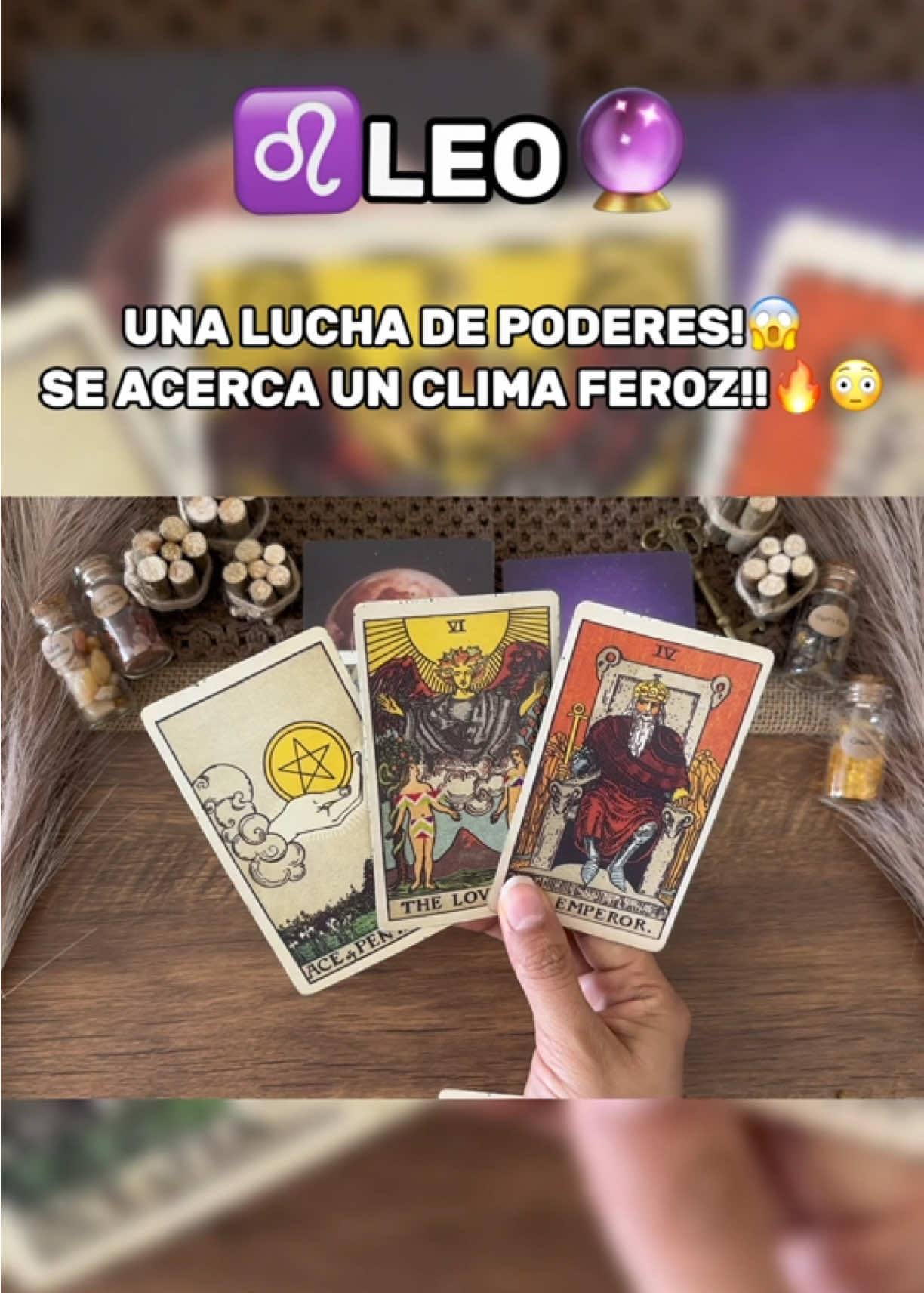 @Andy Sun Tarot ☀️