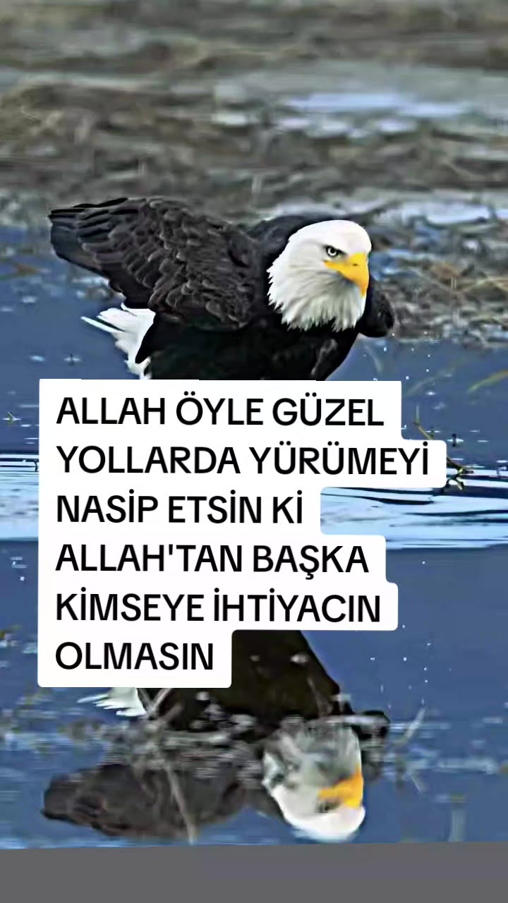 @__İREM__
