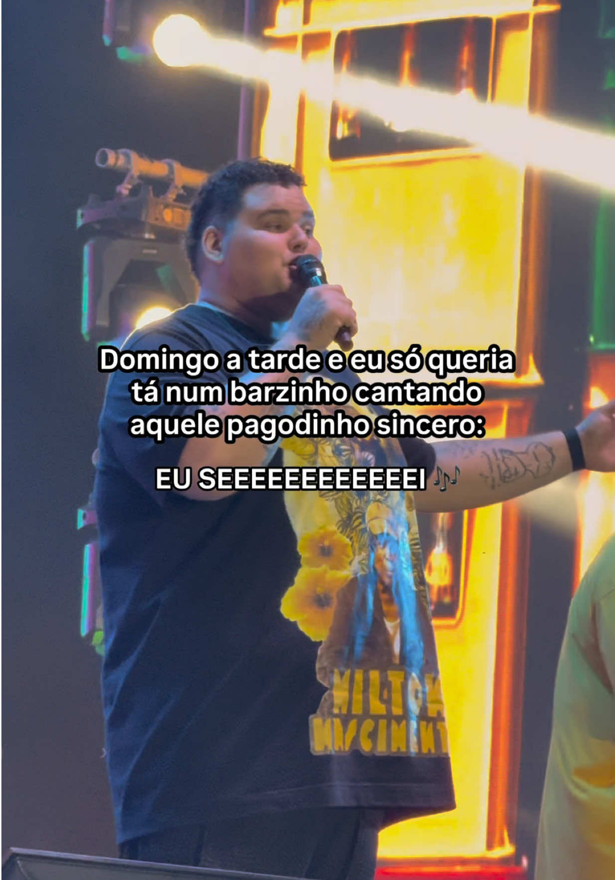 @@pagodebh