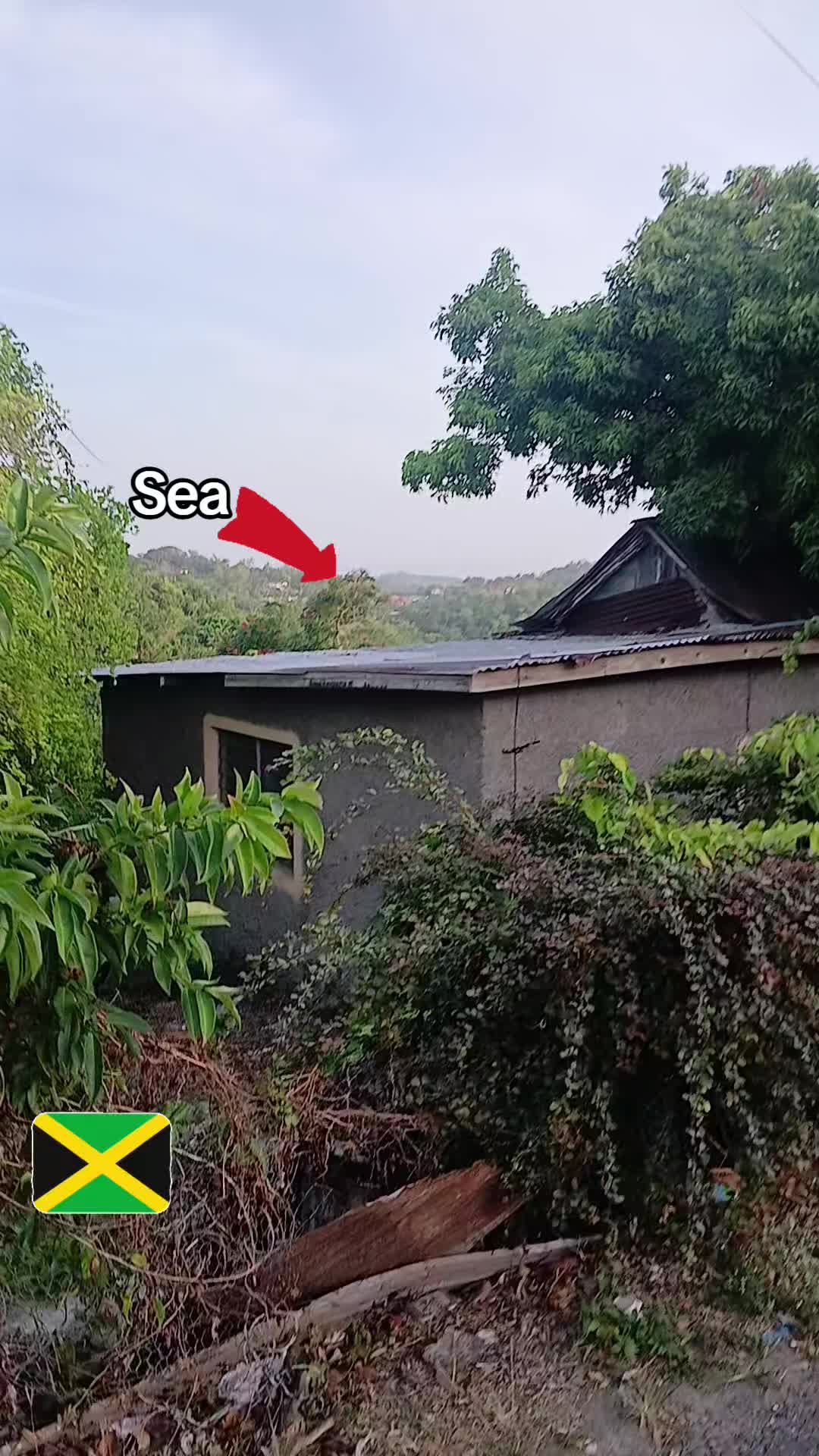 @Kevern 🇯🇲🇨🇦