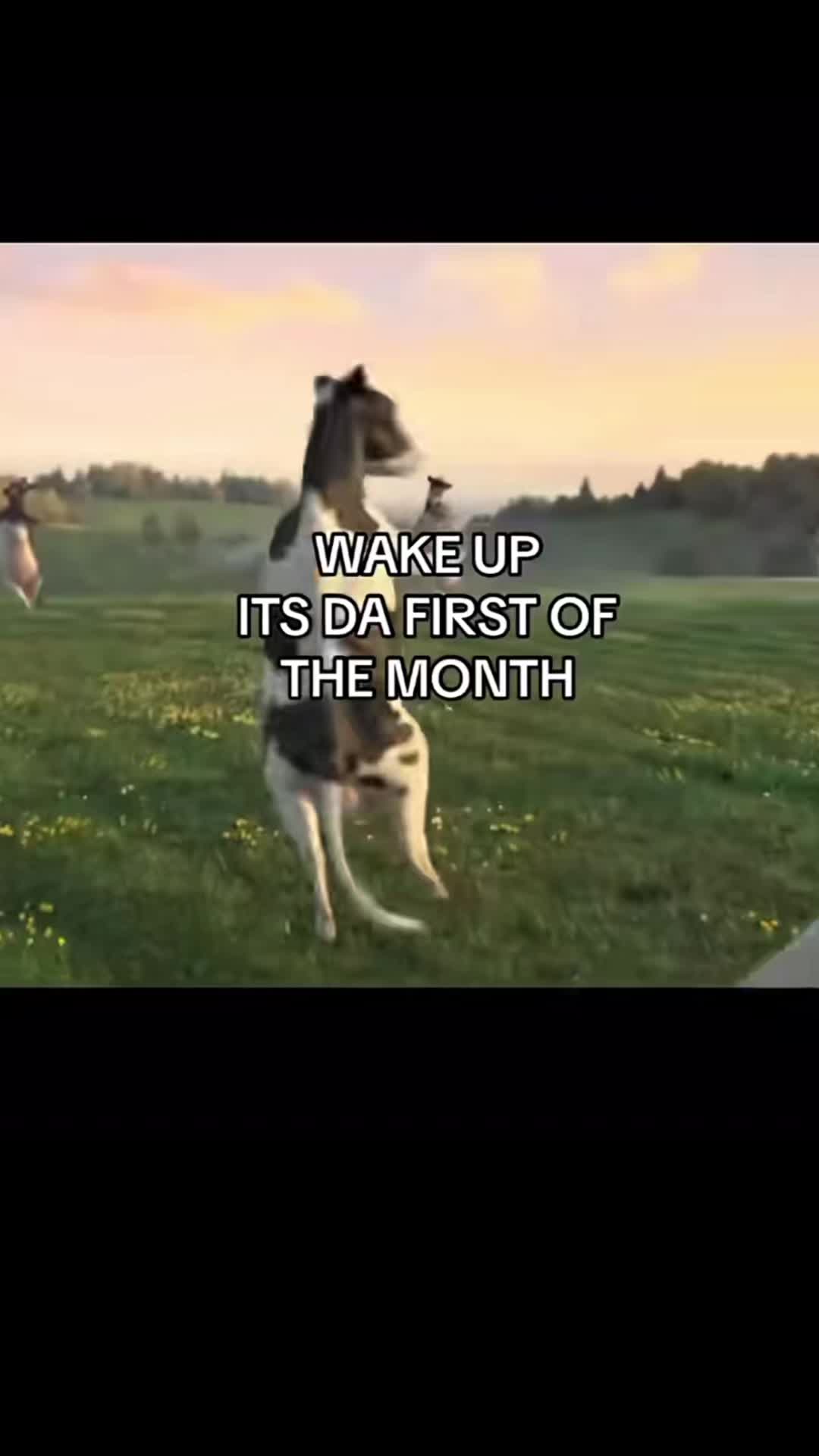 @Gh&oslash;st
