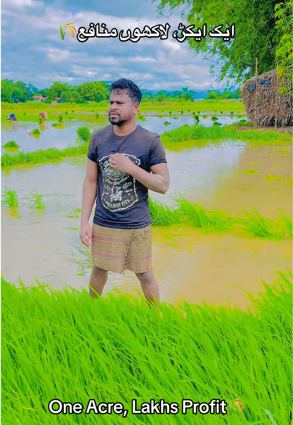 @Md Shaukat official