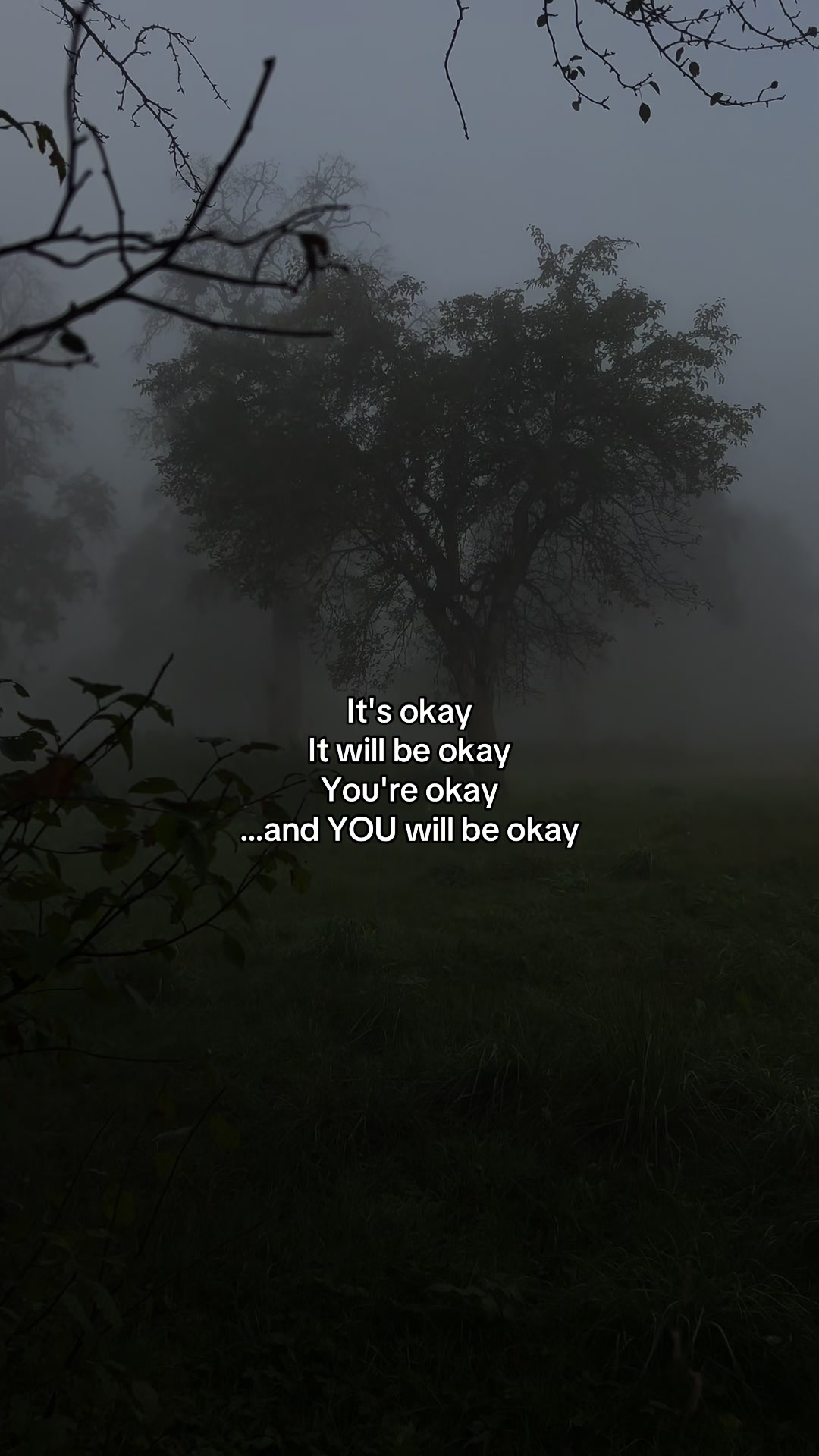 @max 🖤