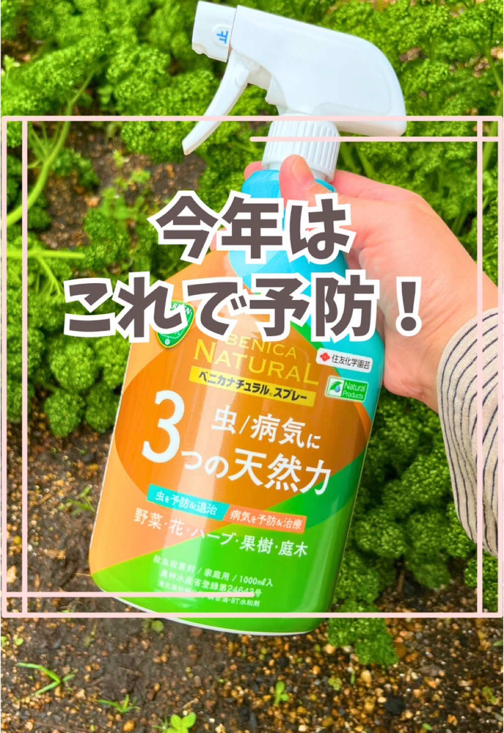 @はる|年間100種類の野菜を育てる3児のママ🍅