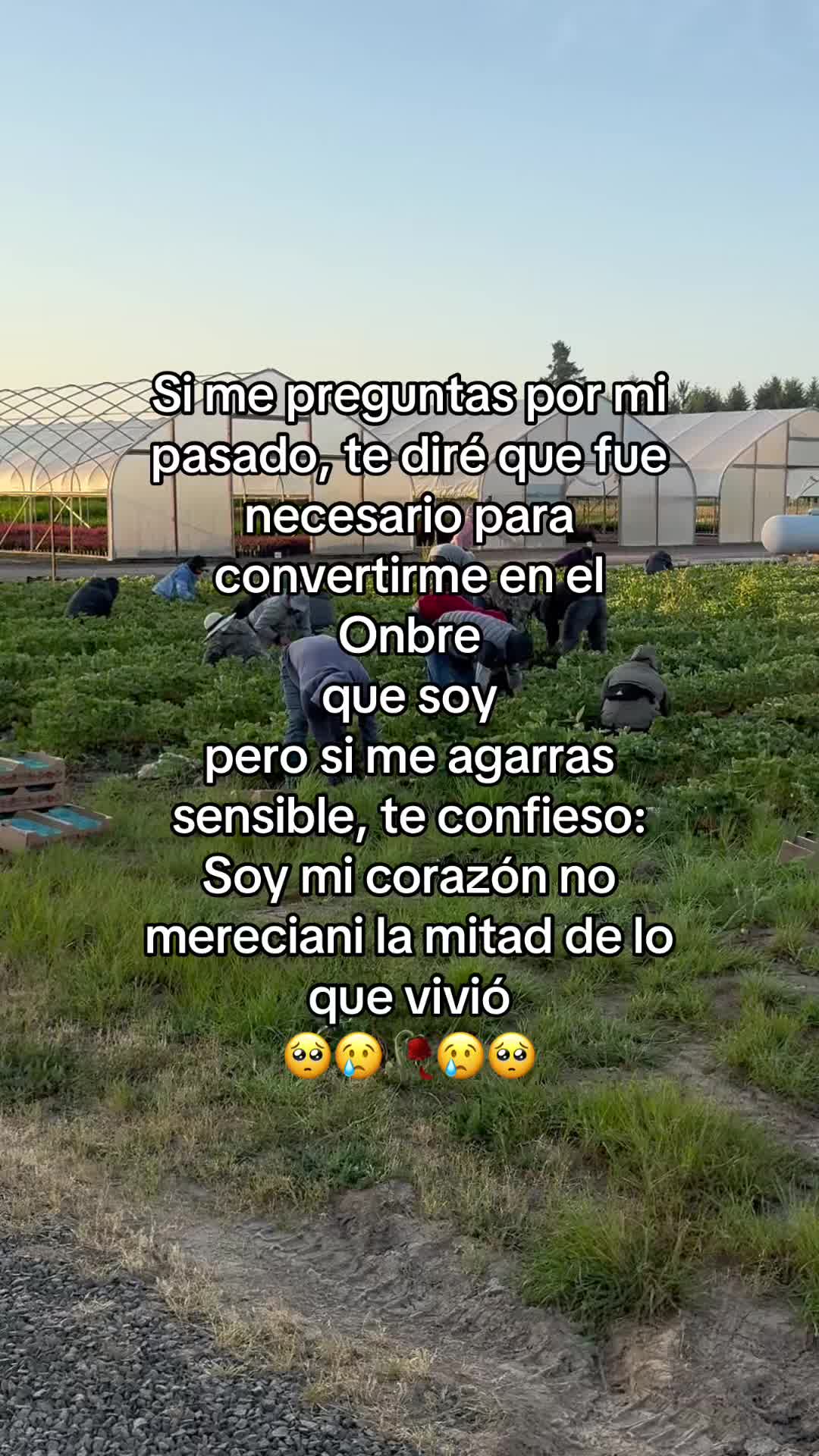 @pablocarbajal63