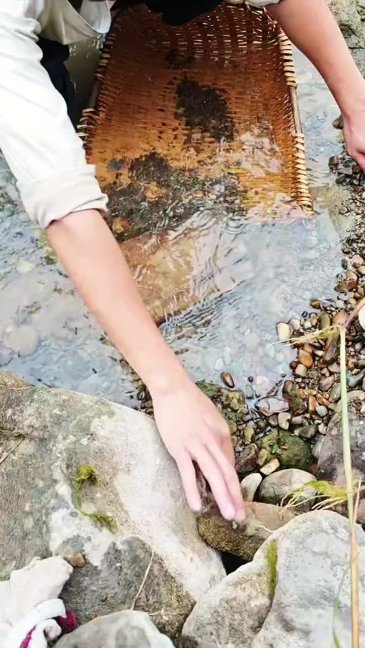 @wild_animal123