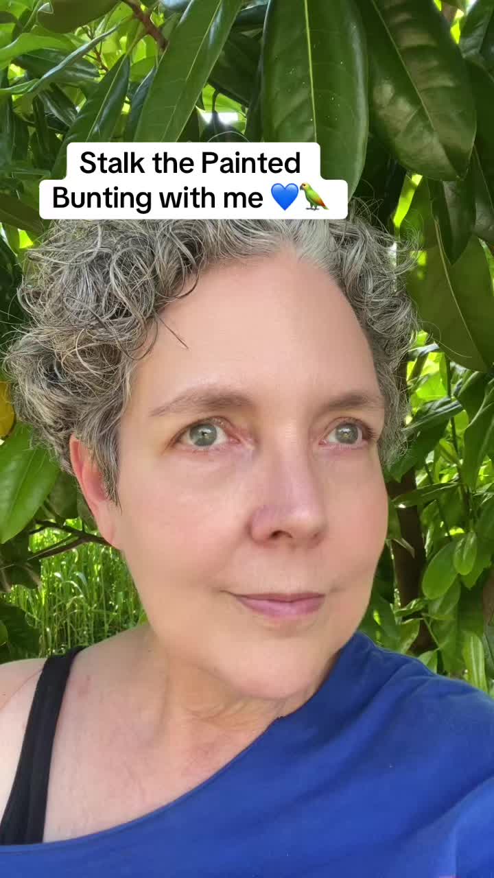 @SpiritSong🦋