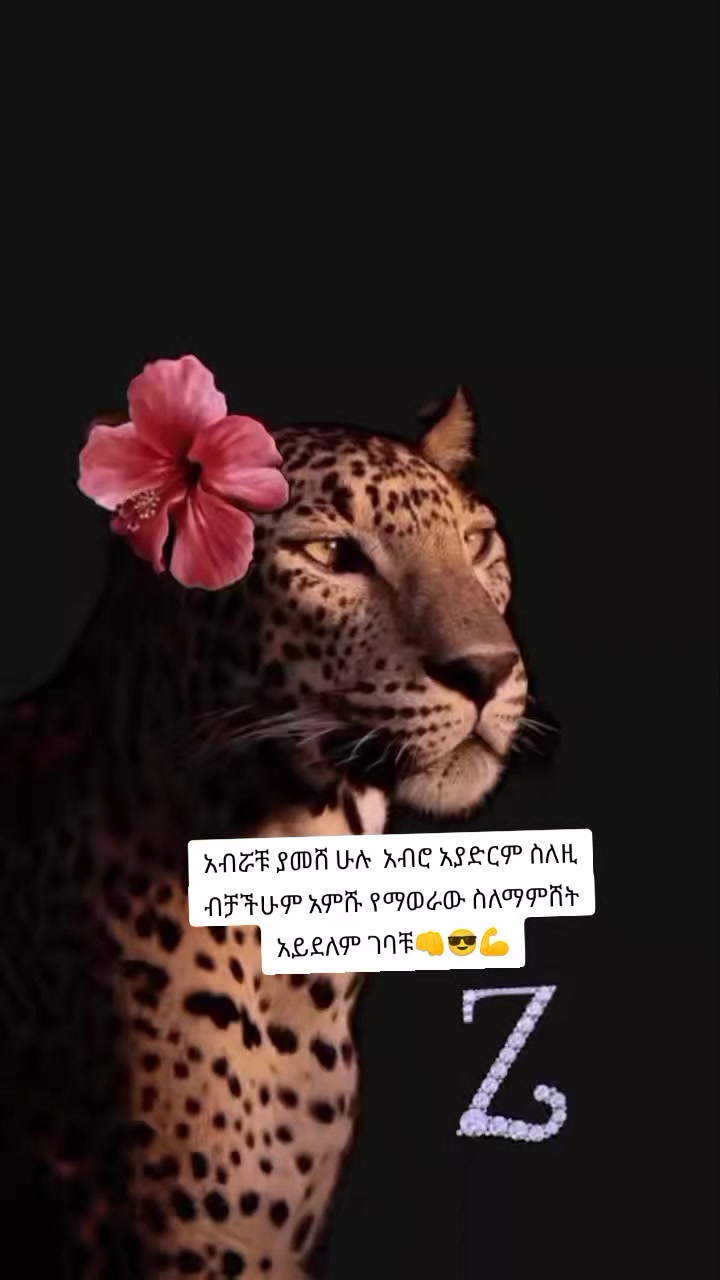 @Zd🍫
