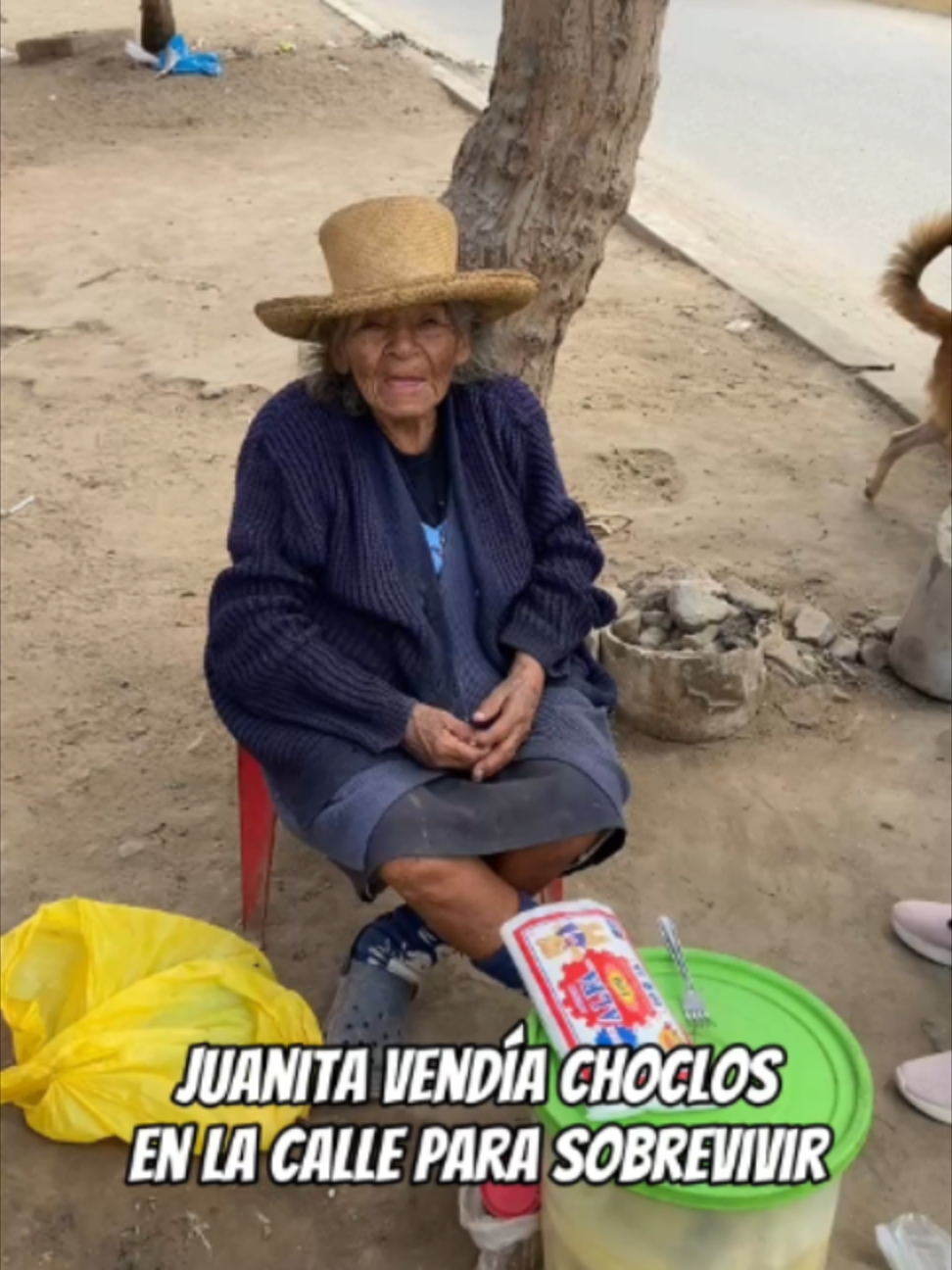 @AdoptaUnAbuelito