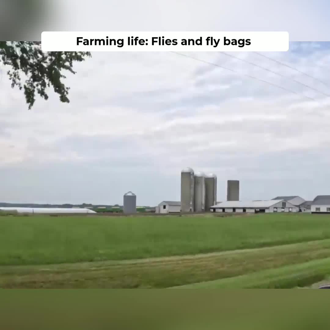 @Kip Siegler Farming