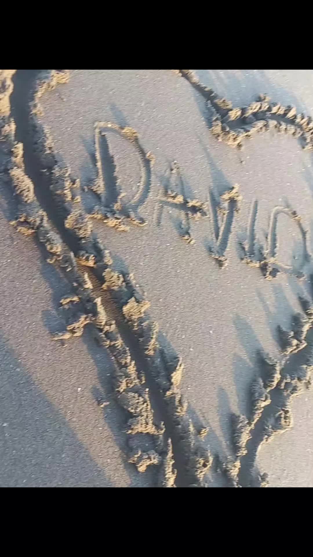 @david__cruz.h